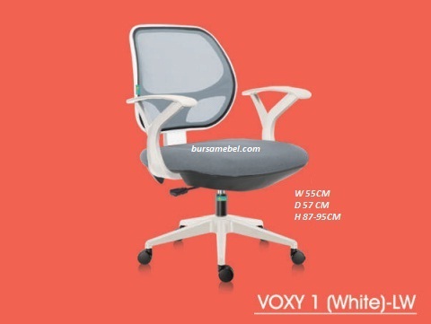 VOXY 1 WHITE LW.jpg/