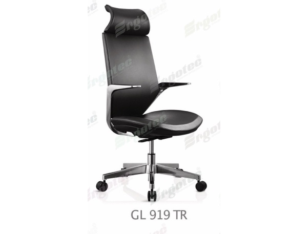 GL 919 TR.jpg/